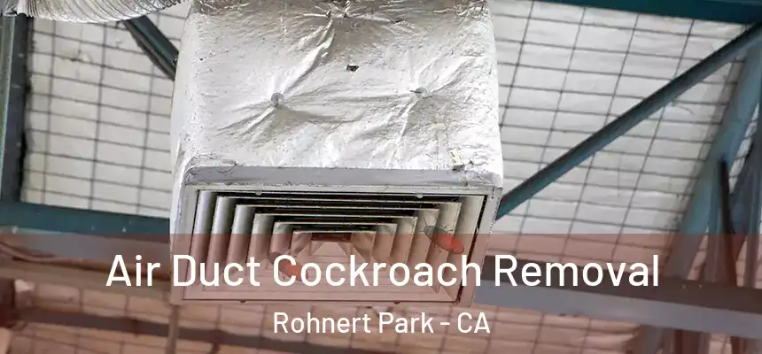 Air Duct Cockroach Removal Rohnert Park - CA