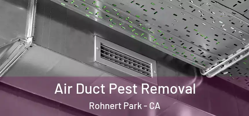 Air Duct Pest Removal Rohnert Park - CA