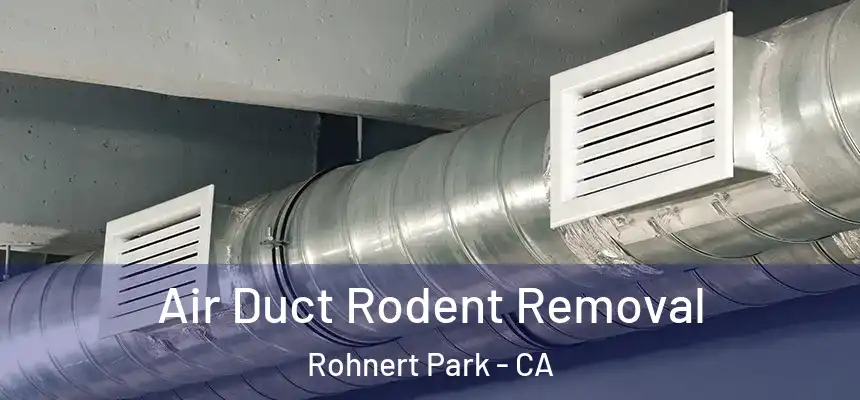 Air Duct Rodent Removal Rohnert Park - CA