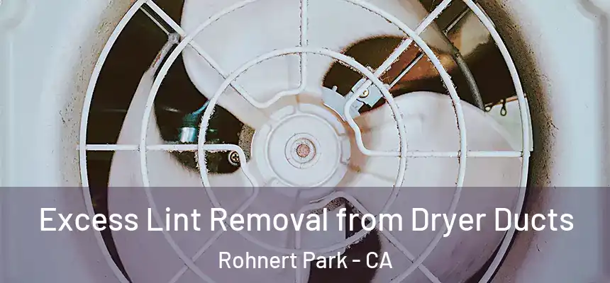  Excess Lint Removal from Dryer Ducts Rohnert Park - CA