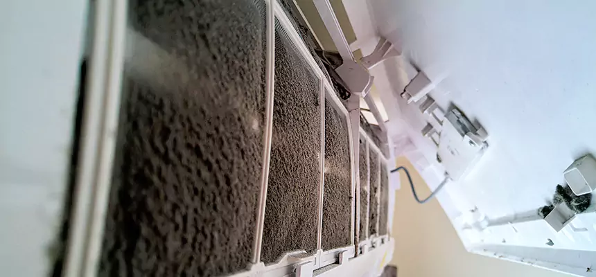 Preventive Air Duct Bacteria Removal in Rohnert Park