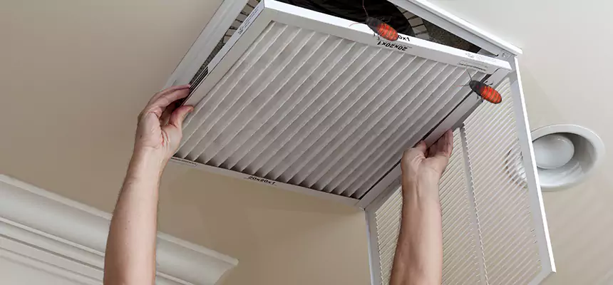 Preventive Cockroach-Proofing for Ducts in Rohnert Park