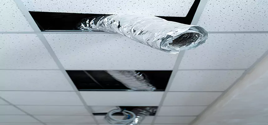 Our Air Duct Pet Hair Removal Services in Rohnert Park, CA