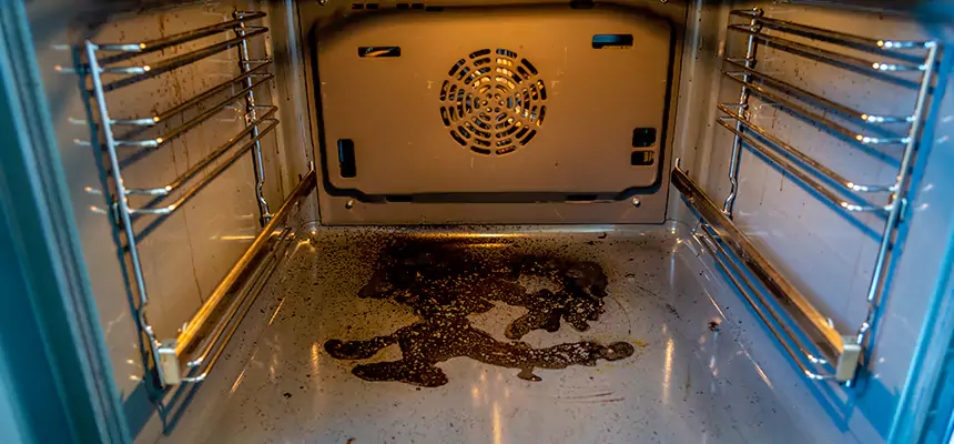 Our Dryer Vent Mold Cleaning Services in Rohnert Park, CA