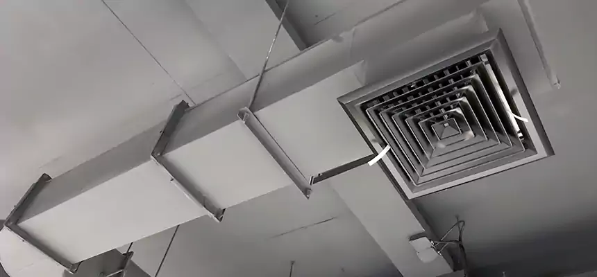 Our Pest Removal From Ducts Services in Rohnert Park, CA