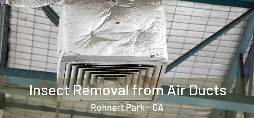Insect Removal from Air Ducts Rohnert Park - CA