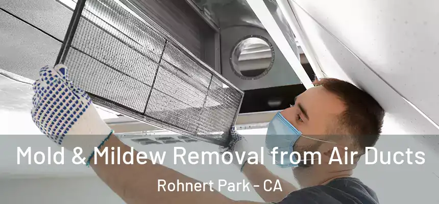 Mold & Mildew Removal from Air Ducts Rohnert Park - CA
