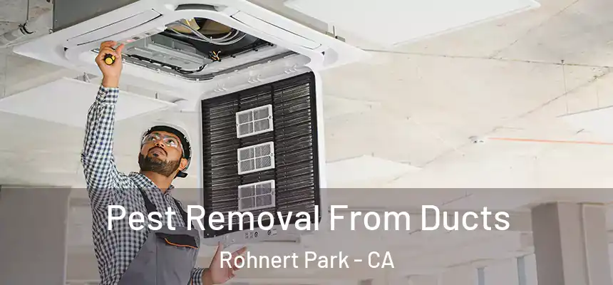 Pest Removal From Ducts Rohnert Park - CA