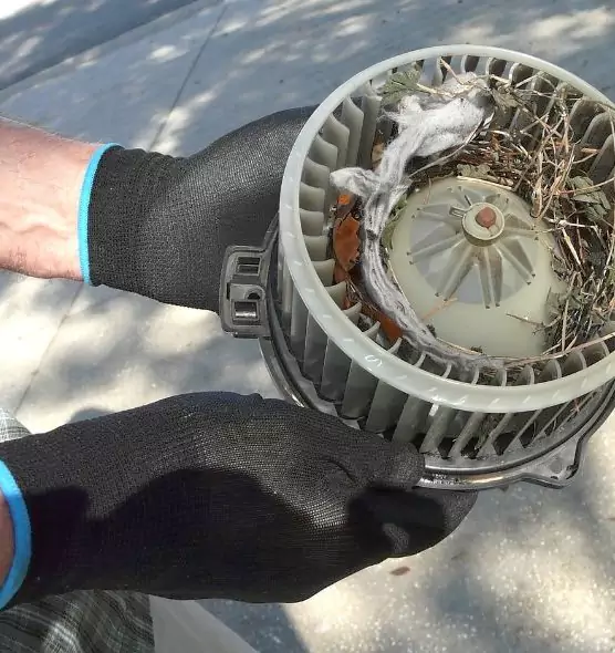 About Air Duct Rat Removal in Rohnert Park, CA