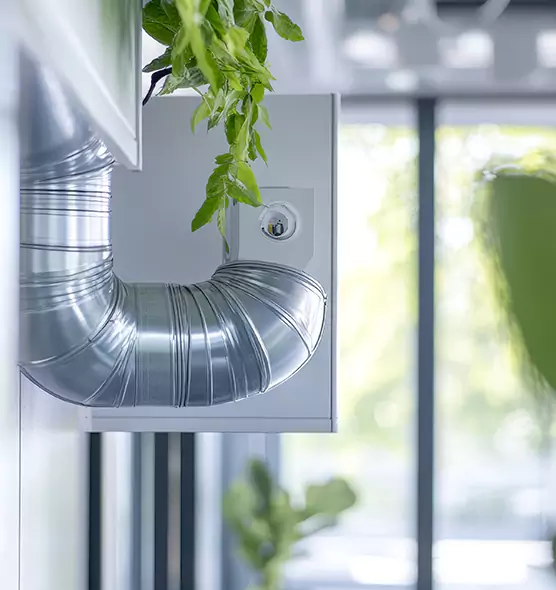 Professional Eco-Friendly Duct Cleaning Services in Rohnert Park, CA