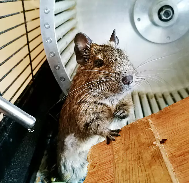 Why Homeowners & Businesses Trust Us Rohnert Park, CA