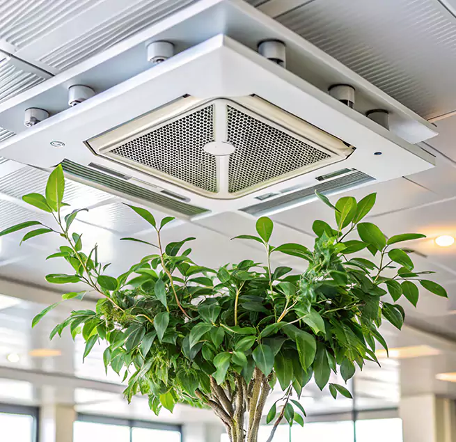 Why Homeowners & Businesses Trust Us in Rohnert Park, CA?