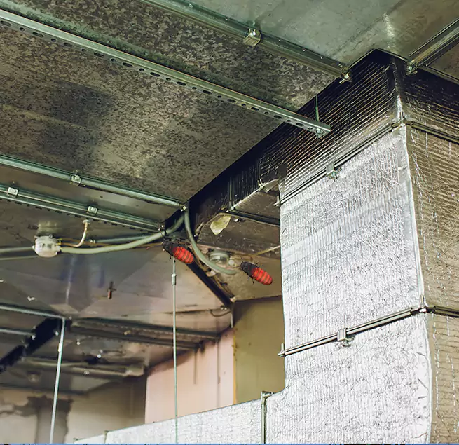 Why Homeowners & Businesses Trust Us Rohnert Park, CA?