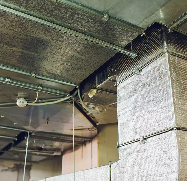 Why Homeowners & Businesses Trust Us in Rohnert Park, CA?