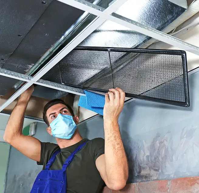 Why Homeowners & Businesses Trust Us in Rohnert Park, CA?